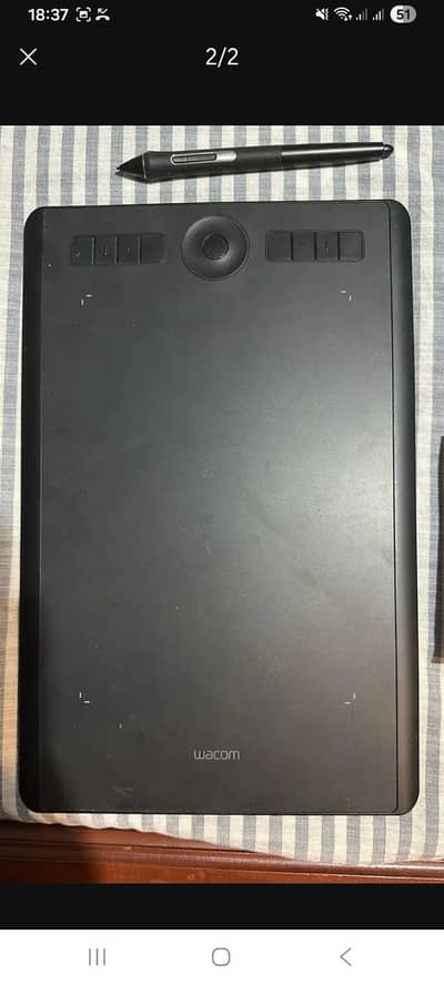 intous medium size