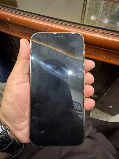 Apple iPhone 12 Pro Max