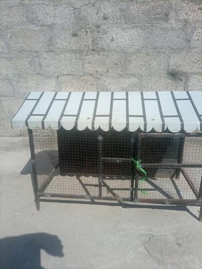 Cage for sale