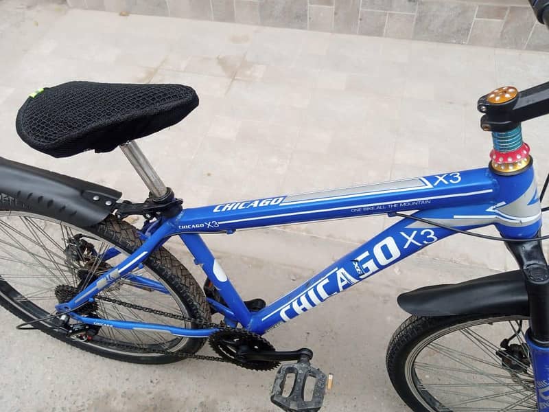 chicago cycle 1