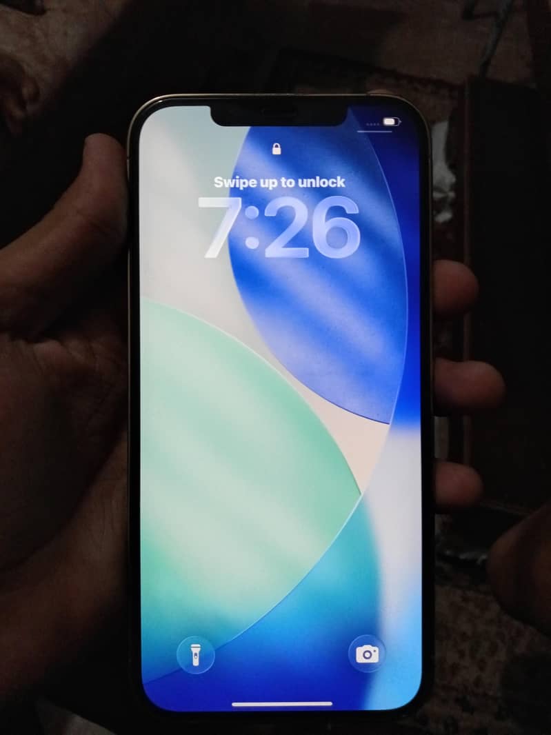 Apple iPhone 12 Pro Max 2