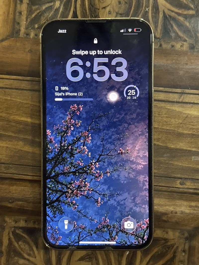 Apple iPhone 13 Pro 1