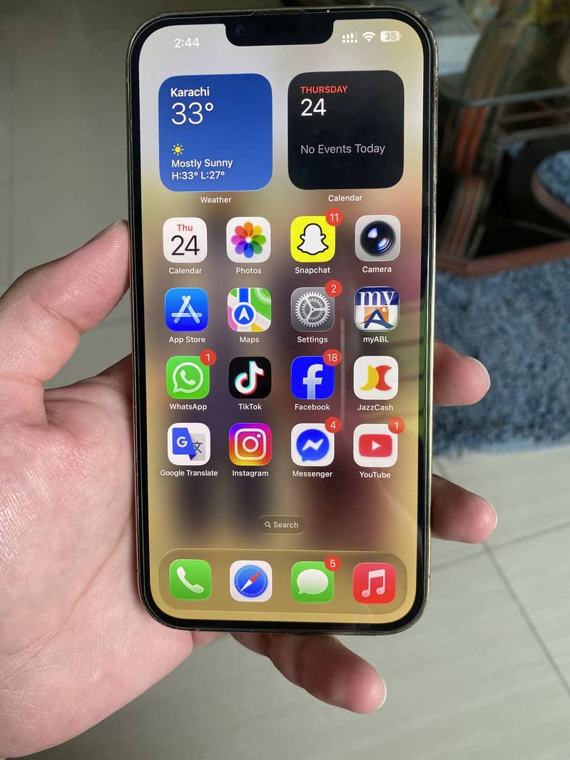 Apple iPhone 13 Pro Max 0