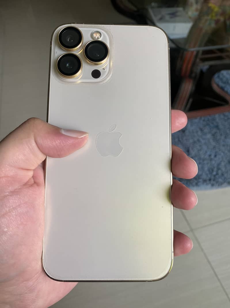 Apple iPhone 13 Pro Max 1