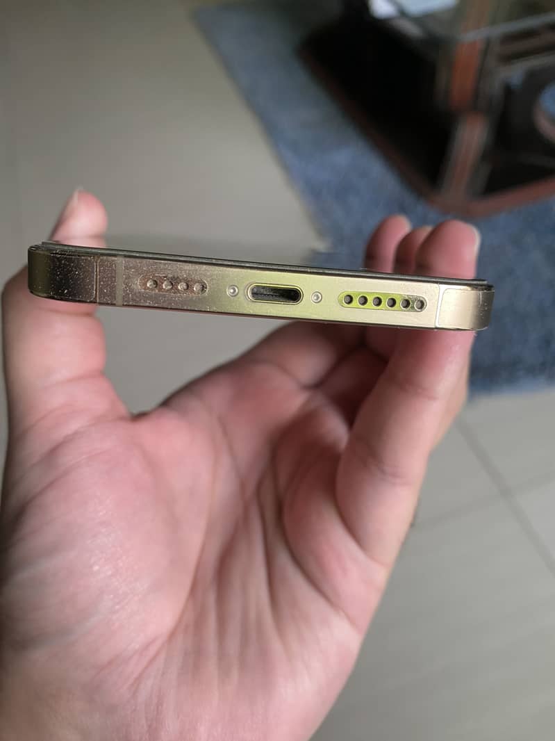 Apple iPhone 13 Pro Max 2