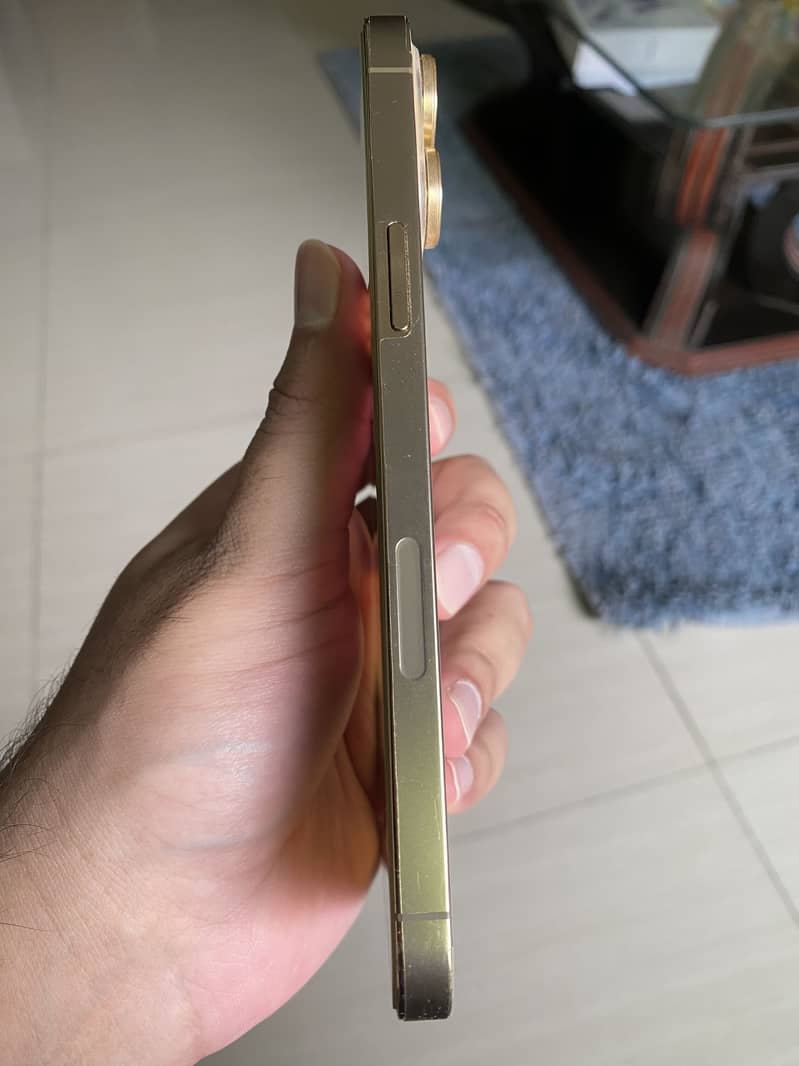 Apple iPhone 13 Pro Max 3