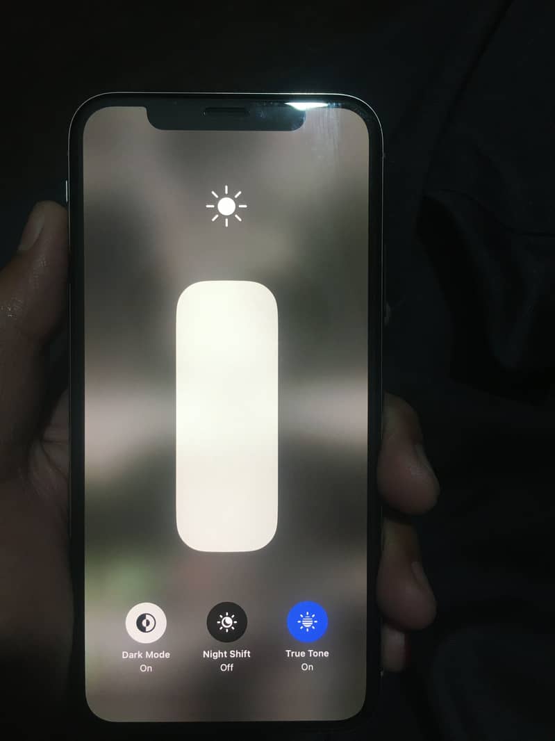 Apple iPhone X 3