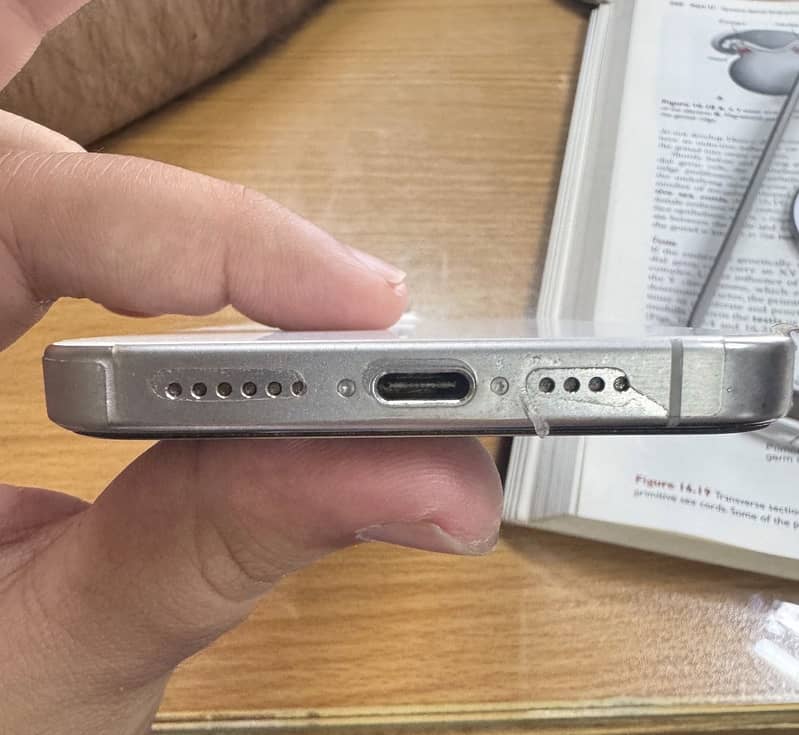 Apple iPhone 15 Pro Max 1
