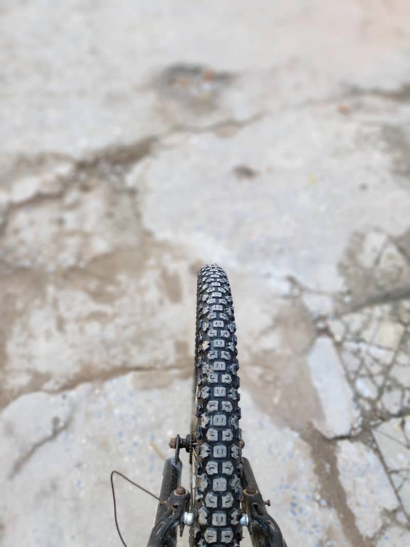 very good cycle 5