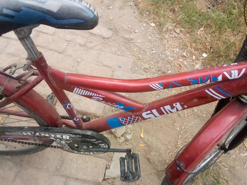 bicycle 2