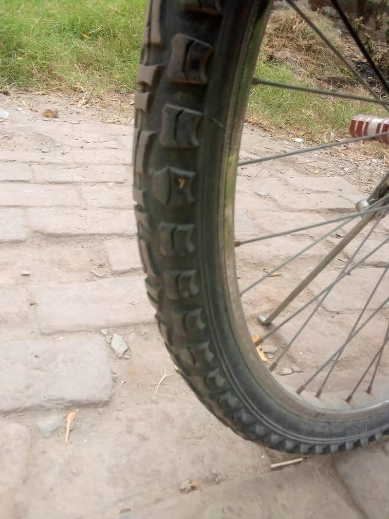 bicycle 3