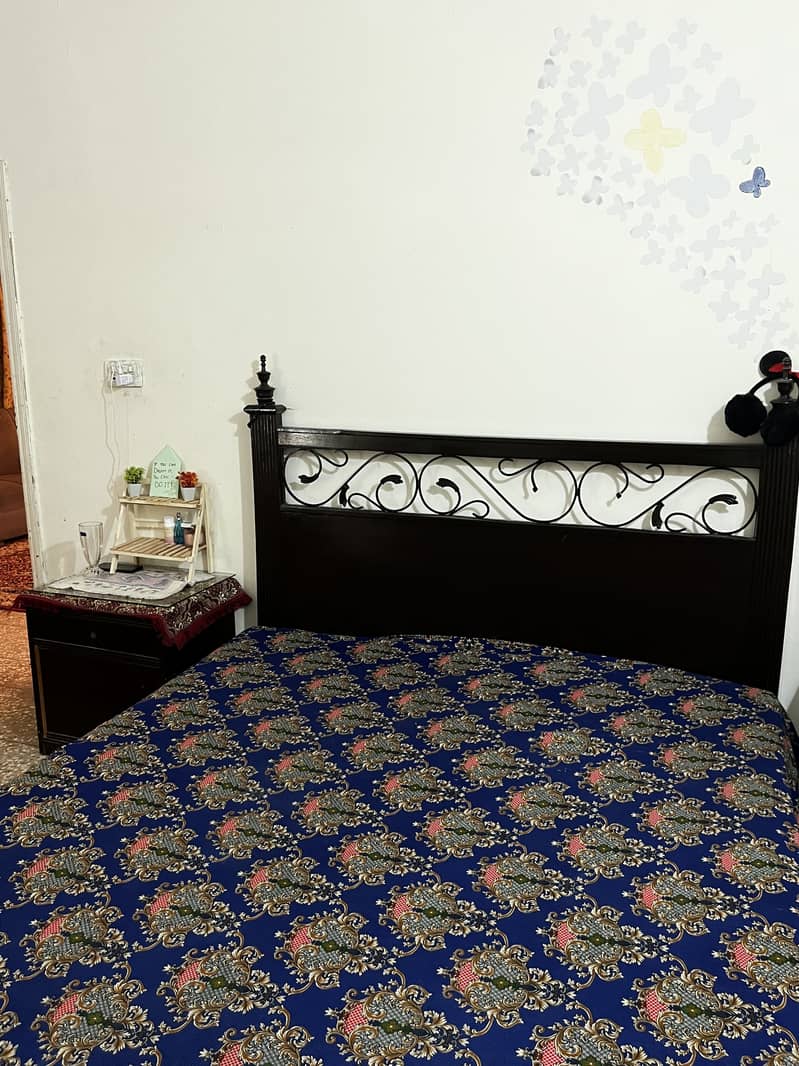Hostel room for girls (35k) 1
