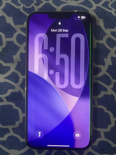 Apple iPhone 13 Pro Max