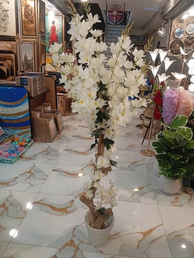 flower plant