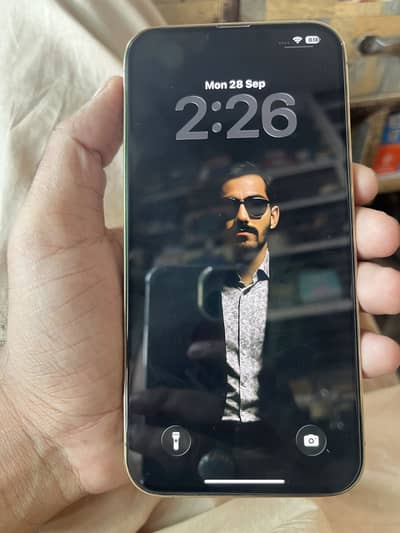 Apple iPhone 13 Pro Max