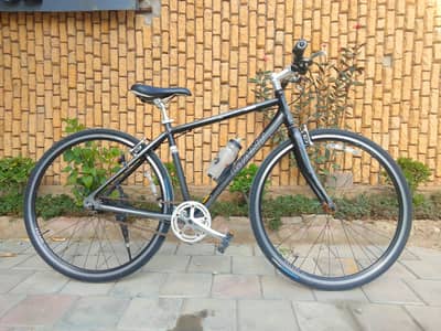 GIANT ESCAPE Ri5 — Original