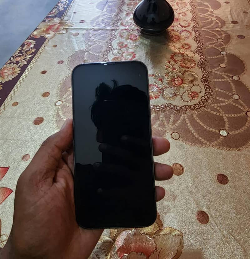 Apple iPhone 13 Pro Max 3