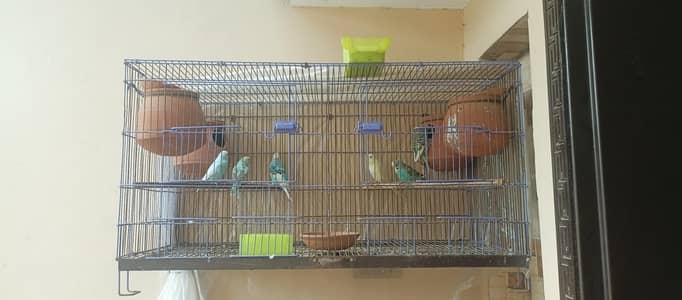 2 Folding Cages available For Sale Or Exchange With Cocktail Pair
