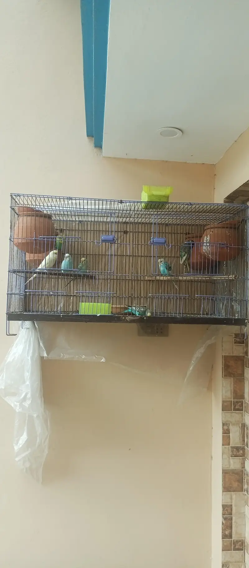 2 Folding Cages available For Sale Or Exchange With Cocktail Pair — photo 2