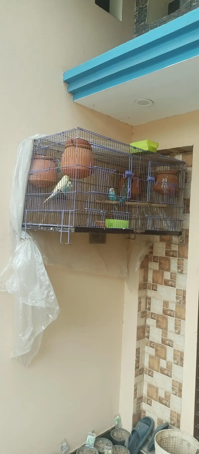 2 Folding Cages available For Sale Or Exchange With Cocktail Pair — photo 3