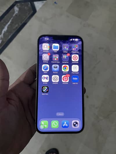 Apple iPhone 13 Pro Max /256gb