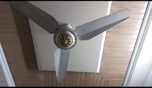 sonnex celling fan