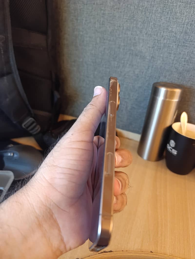 Apple iPhone 16 Pro Max 4