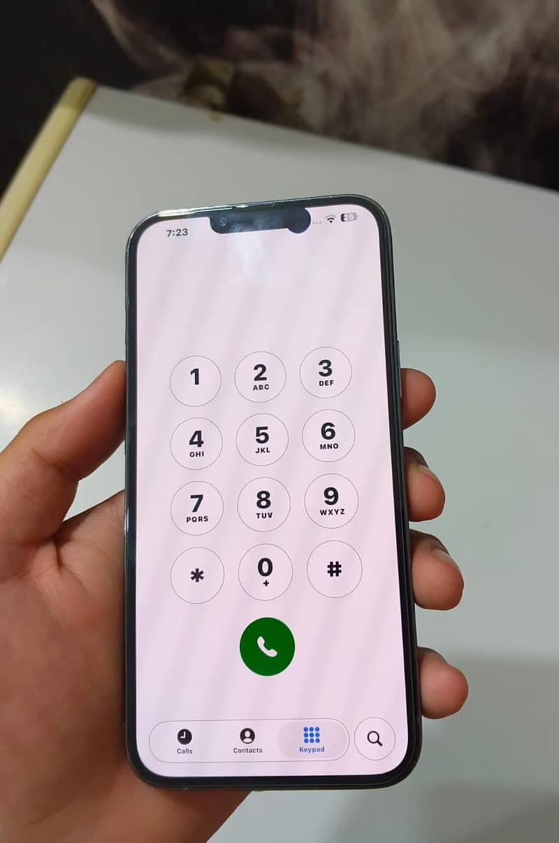 IPHONE 13 PRO MAX 6