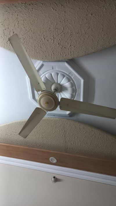GFC ceiling fan