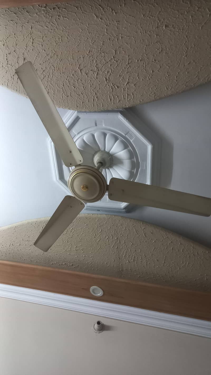GFC ceiling fan 0