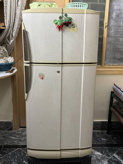 Pel Refrigerator for Sale