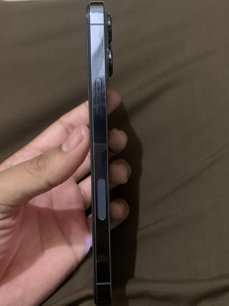 Apple iPhone 13 Pro Max 1