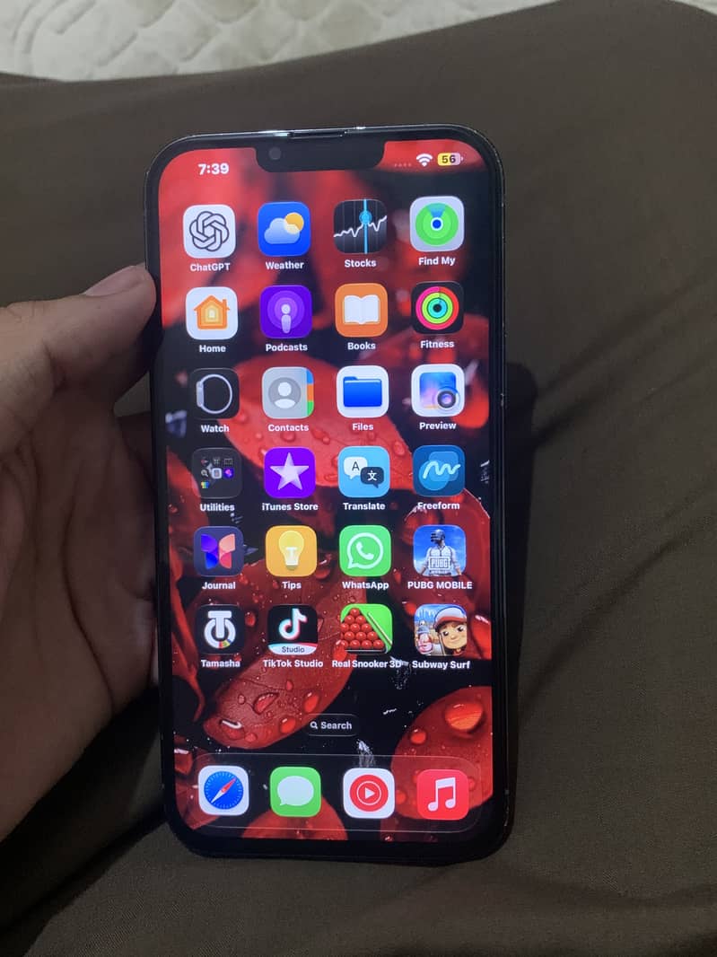 Apple iPhone 13 Pro Max 2