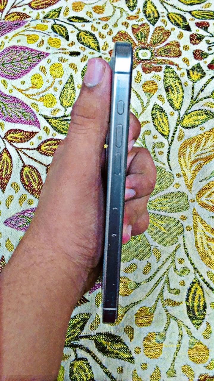 Apple iPhone 15 Pro Max 1