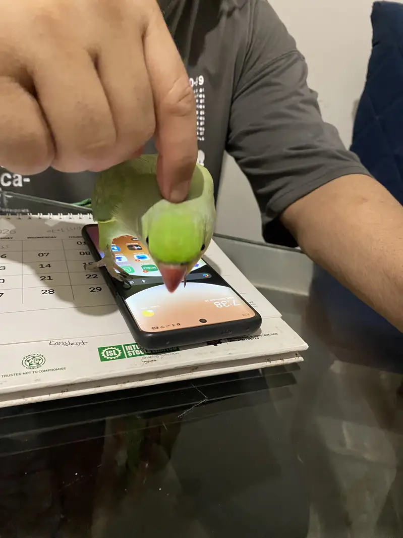brand new green model — photo 2