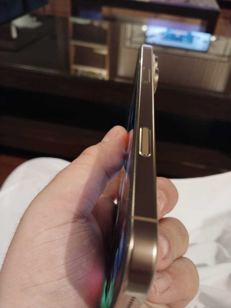 Apple iPhone 16 Pro Max 1