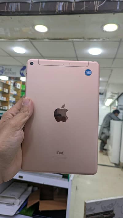 Apple iPad mini 5 256 gb factory unlocked