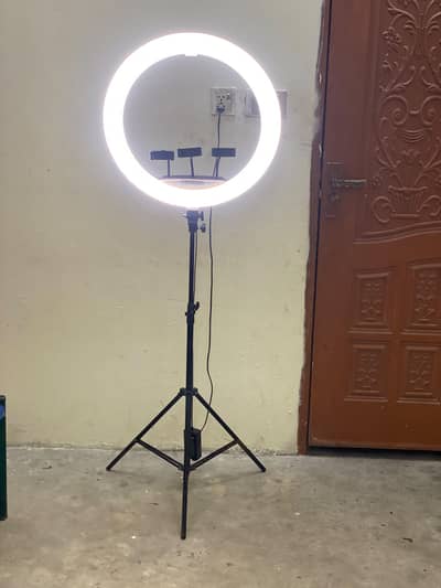 Multiple Light 22" inch With Stand And Remotes