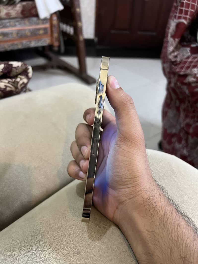 Apple iPhone 12 Pro Max 2