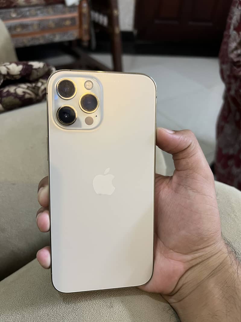 Apple iPhone 12 Pro Max 1