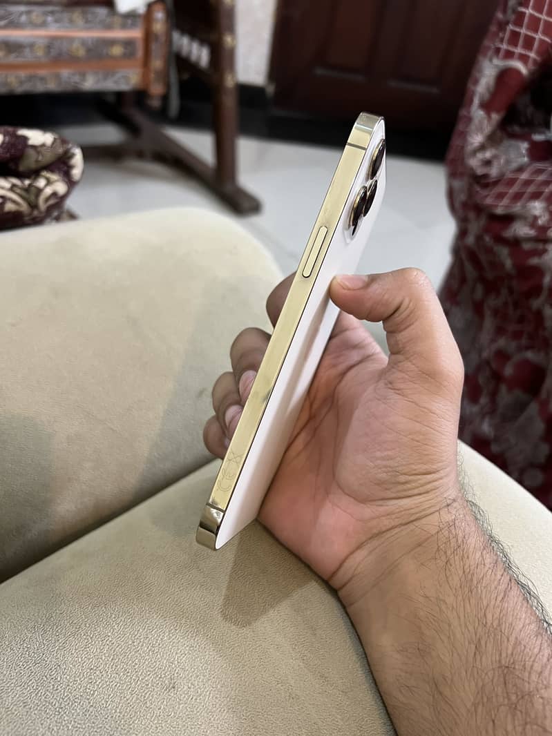 Apple iPhone 12 Pro Max 5