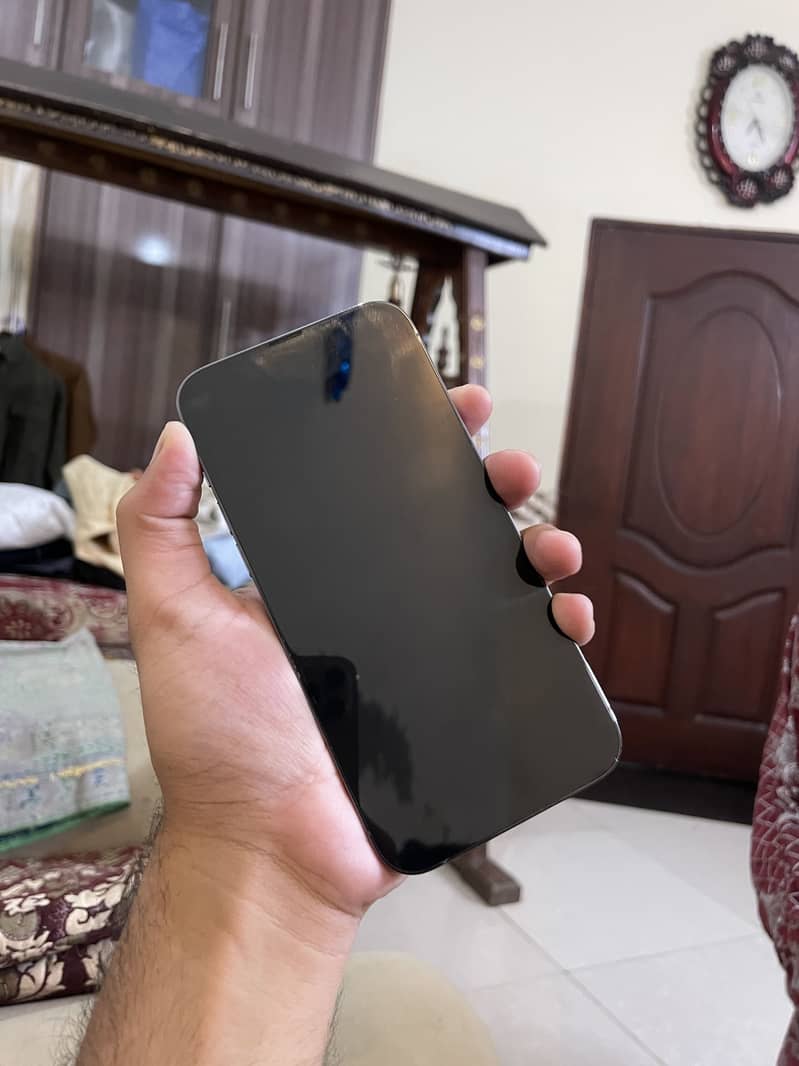 Apple iPhone 13 Pro Max 10