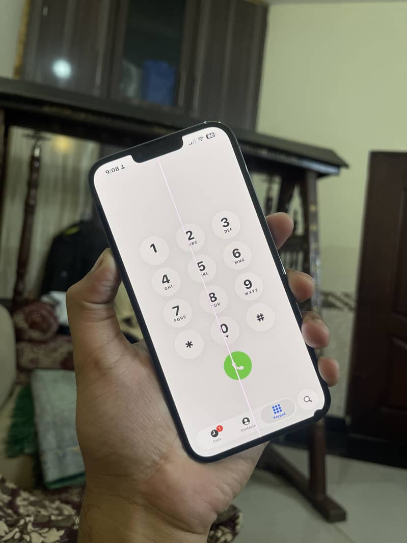 Apple iPhone 13 Pro Max 12