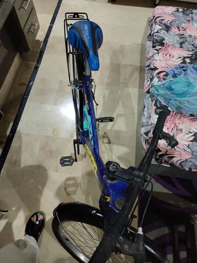 bicycle 2024