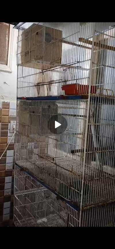 bird cage