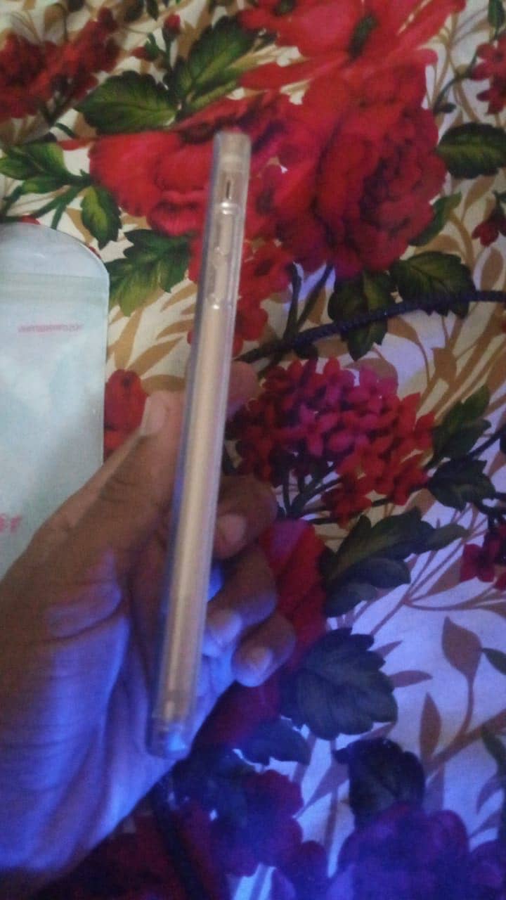Apple iPhone 8 Plus 0