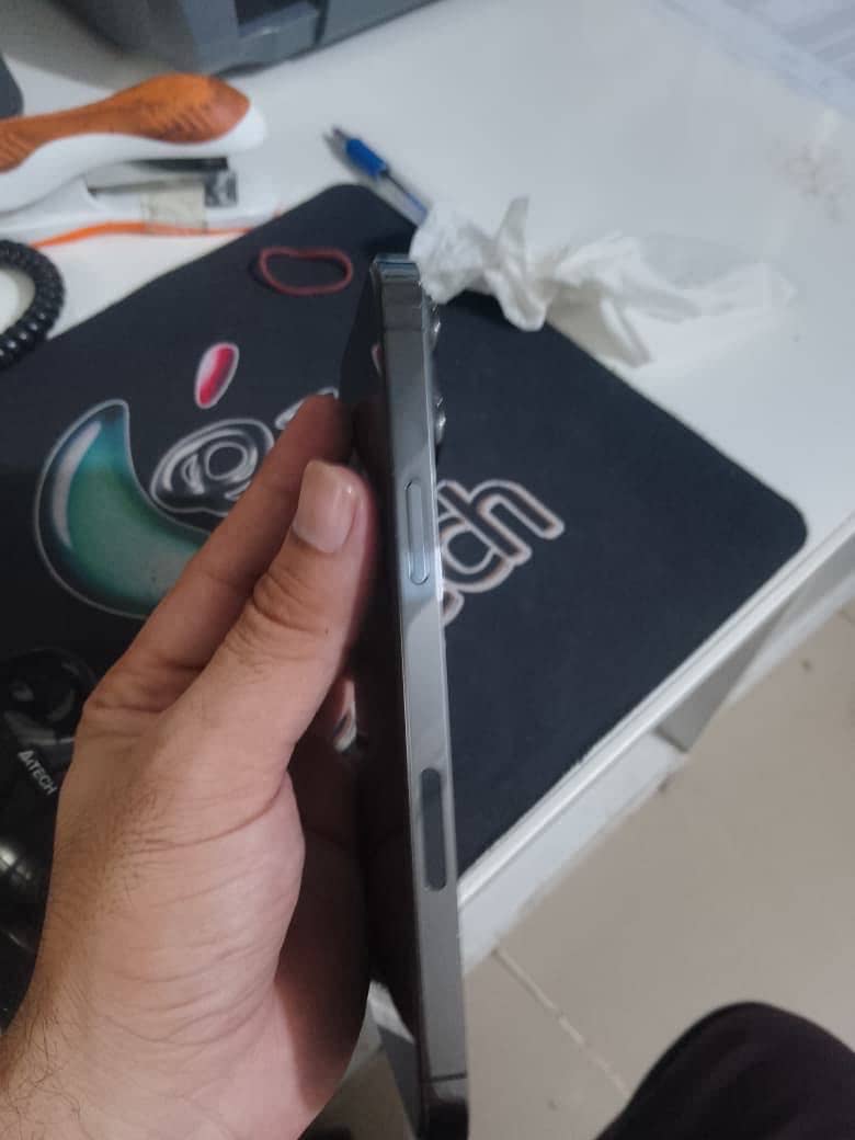 Apple iPhone 13 Pro Max 3
