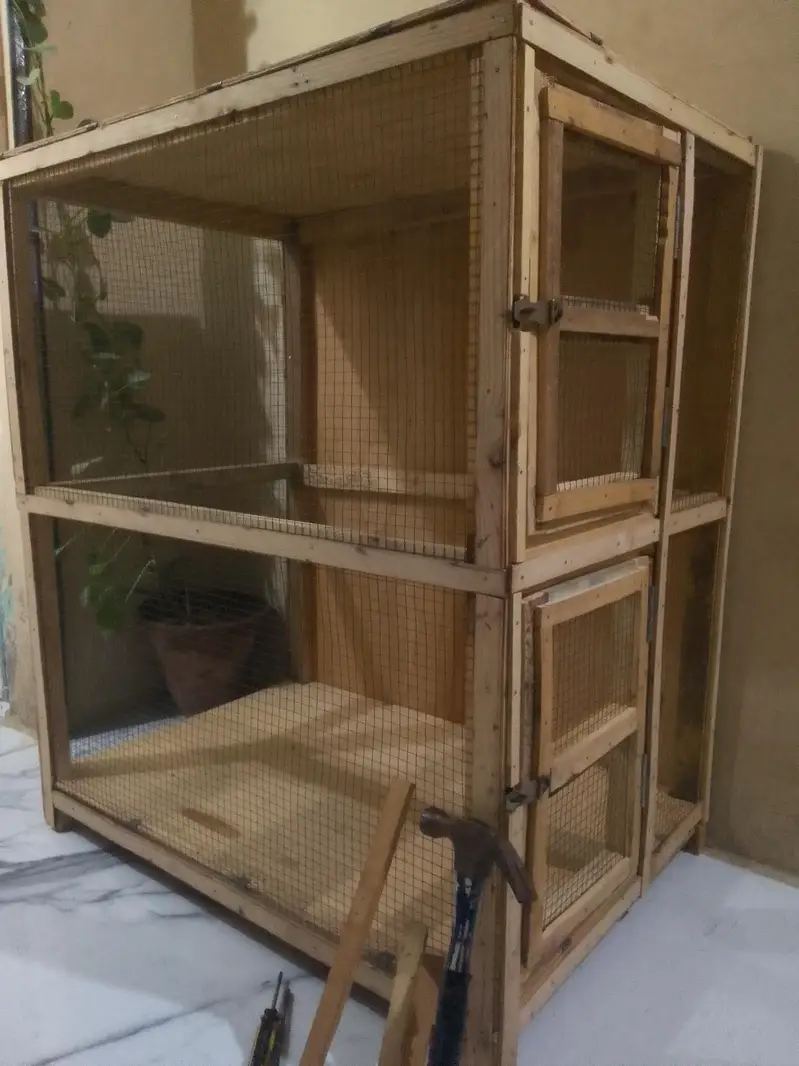 cages — photo 3