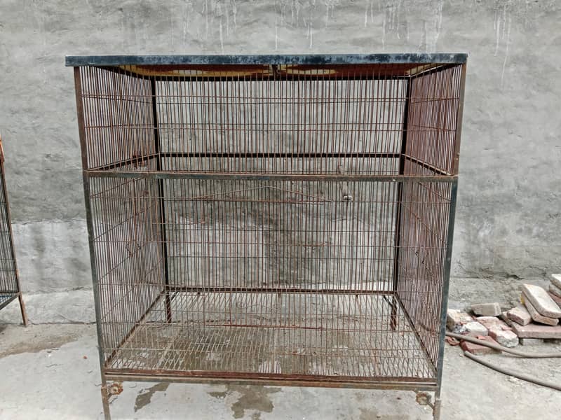 Solid Iron Cage Heavy Wire 2
