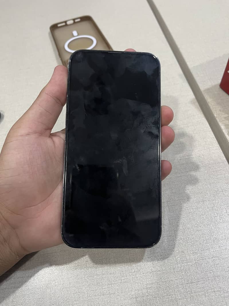 Apple iPhone 13 Pro Max 2